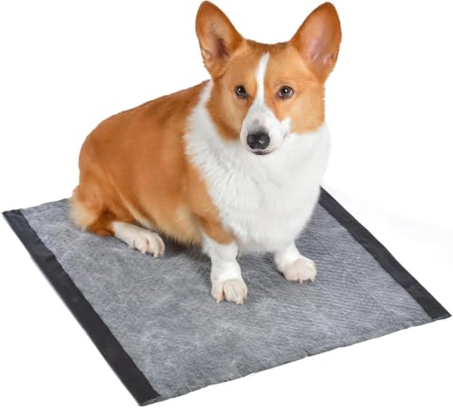 Glad for Pets Dual Action Freshness Activated Carbon Puppy Pads, Fragrance Release, Scented Odor Control, 6-Layer Leak-Proof, Pheromone Attractant, 23 x 23 Inch, 100 Count - 2 Pack - size: 100 Count (Pack of 2)