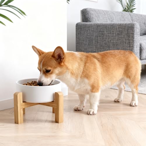 Elevated/Raised Ceramic Dog Bowl with Bamboo Stand,6 Inch 3.6 Cups Non Slip Heavy Weighted Single Pet Dish, for Small Medium Breed & Cats,Reduces Neck Strain White - color: White, size: 3.6 Cups - Medium
