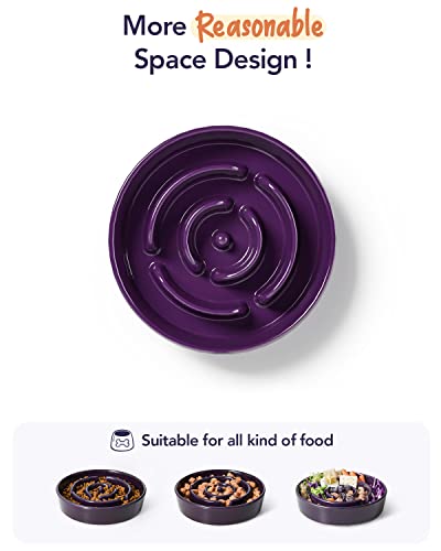LE TAUCI Ceramic Slow Feeder Dog Bowls Elevated, 3 Cup Raised Bowl with Wooden Stand for Medium Large Breed, Slow Down Eating, Puzzle Dog Food Bowl, Maze Purple - color: Maze Purple+Stand, size: L-3 Cups