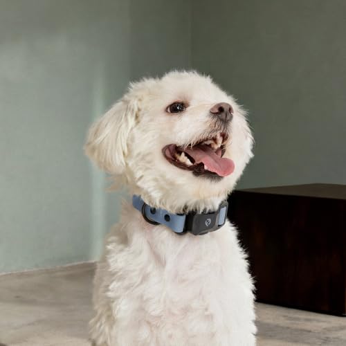 Fei & Eve VERO Dog Collar, Dusk Blue, Small | MagEase Magnetic Buckle, Waterproof PVC, Odor Resistant, Easy Clean, Heavy Duty - color: Dusk Blue, size: S