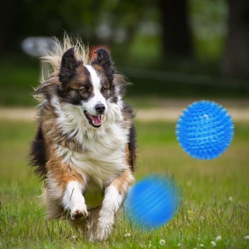 3.5” Squeaky Dog Toy Balls (6 Colors) Dog Toys Spikey Dogs Ball for Aggressive Chewers Heavy Duty Teething Large Medium Durable Dogs Balls - size: 3.5 Set of 6