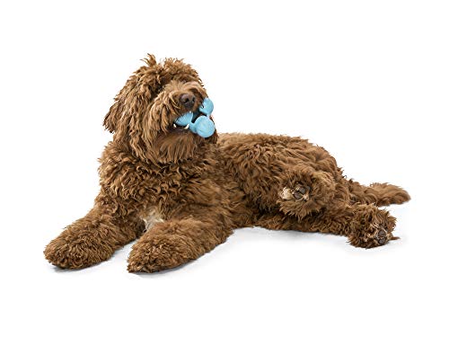 WEST PAW Zogoflex Tux Interactive Treat Dispensing Dog Chew Toy for Aggressive Chewers, 100% Guaranteed Tough, It Floats!, Made in USA, Large, Aqua - color: Aqua Blue, size: Large