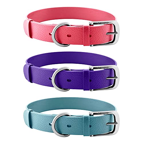 Tuff Pupper Classic Heavy Duty Dog Collar | 10x Stronger Than Leather | 100% Waterproof & Odor Proof Dog Collar | Tough Rust-Proof All Metal Hardware - color: Tropical Teal