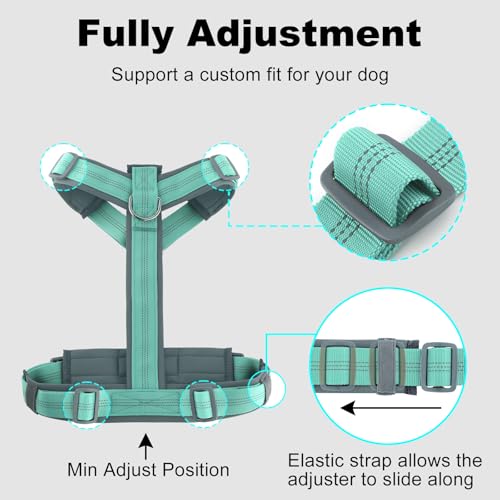Plutus Pet No Pull Dog Harness, Adjustable Nylon Harness with Soft Padding, Reflective and Heavy Duty Dog Harness for Small, Medium, Large Dogs(Teal, M) - color: Teal, size: M