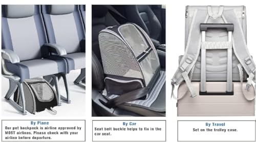 Pet Aura Portable Outdoor Pet Carrier Backpack. with Dual Ventilation System & See Through Cabin. Travel Bag for Small Dog/cat (Gray).