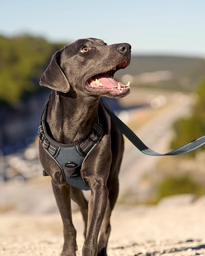 Joytale No Pull Dog Harness Medium Sized Dog, Reflective Pet Vest with Front Clip, Adjustable Soft Padded Harnesses with Easy Control Handle for Training and Walking, Gray, M - color: Gray, size: Medium