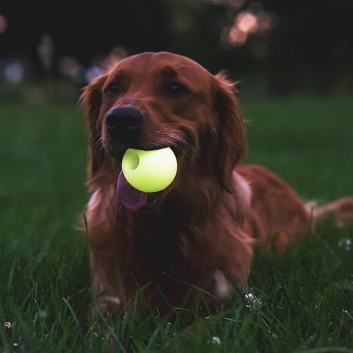 Chew King by Mammoth Bacon Flavored Dog Balls, Glow 2.5" 2-Pk - color: B) 2-Pack Bacon (2.5" Balls)