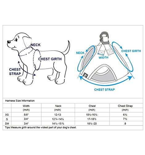 Blueberry Pet Southwestern Tribal Lozenges Stylish Green Dog Harness Vest, S/M, Adjustable Harnesses for Small Medium Dogs - color: Stylish Green, size: (18 1/2"-20") Chest Girth (Pack of 1)