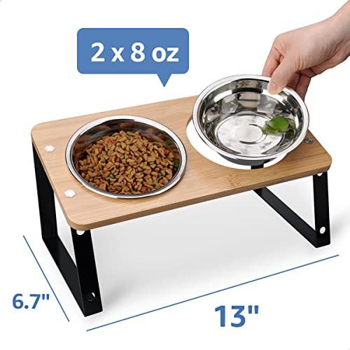 AYADA Elevated Cat Bowls, Height Adjustable Raised with Stand Lifted Ergonomic Anti Vomiting Non Slip Slanted Tilted Double Bowls Food Water Stainless Steel - color: Stainless Steel