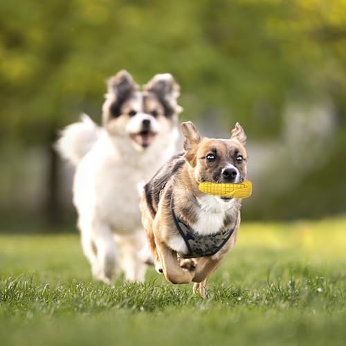 Dog Chew Toys for Aggressive Chewers,Idestructible Tough Durable Squeaky Interactive Dog Toys,Durable Dog Teeth Cleaning Toy for Medium Large Breeds,Corn Stick Toy (Yellow) - size: Yellow