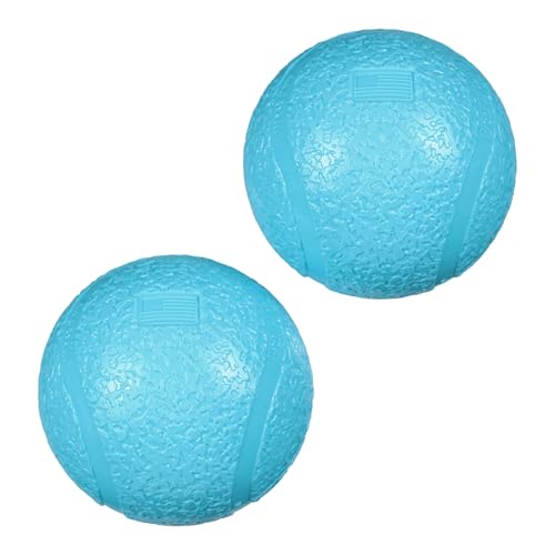 WEST PAW Zogoflex Boundr Ball Puppy Toy – Bouncing Toys for High-Energy Puppy Play - Aggressive Chewers, Catch, Fetch – Floatable, Recyclable, Dishwasher-Safe, Non-Toxic – Small - Aqua Blue - 2-Pack