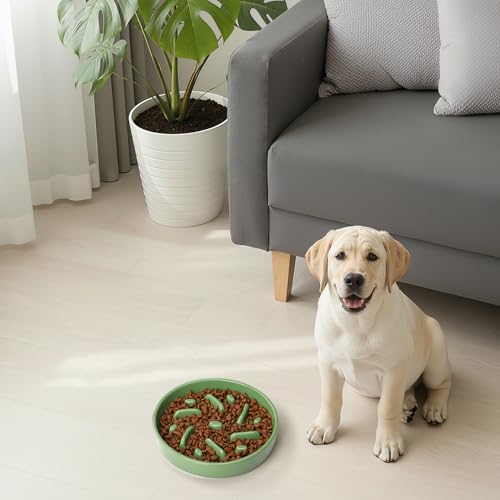 Ceramic Slow Feeder Dog Bowl, 2 Cups Dog Food Bowls for Small, Medium, and Large Breed, Anti-Slip Puzzle Food Dish to Slow Down Eating (Green, 2 Cups) - color: Maze - Green