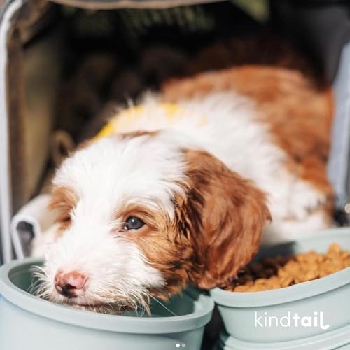 KindTail Dog Travel Bowls - Set of 2 Portable Pet Food & Water Dishes with Lid & Handle - Each Nesting Container Includes a Non-Slip Silicone Base - Microwave & Dishwasher Safe - BPA & Toxin-Free - color: Light Green, size: Small
