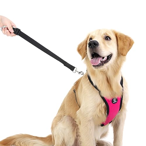 VavoPaw Dog Seat Belt, Safety Vest Dog Car Harness with Adjustable Buckle Dog Seat Belt for Vehicle Nylon Pet Safety Seat Belts Heavy Duty(M, Magenta) - color: Magenta, size: M (Chest: 19.7-26.4", Neck: 12.6-20.5")