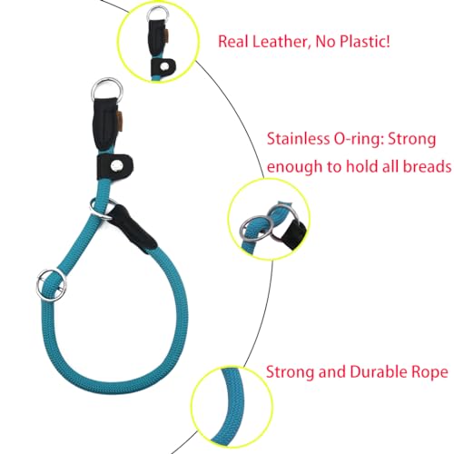 Braided Round Martingale Dog Collar, Training Collar with Slidable Stop Ring and Adjustable Stopper - Ideal for Small Dogs (S(1/4") - 14" Long, Light Blue) - color: Light Blue, size: S(1/4") - 14" Long with stopper