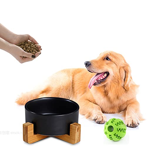Petygooing Ceramic Black Cat Dog Bowl Set with Stand,Pet Food and Water Dish,Medium Pet Bowls Anti-Slip Set of 2 Cat Bowls-Pet Food Dishes- Small Medium Size Dog (28 OZ /3.6 Cups) - color: Black, size: Medium Size Dog Bowls 850ML*2
