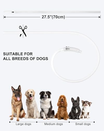 Joytale Light Up Dog Collar, Rechargeable Rainproof LED Collar for Night Walking Safety, Soft Silicone Glow in The Dark, Suitable for Small Medium Large Dogs, White - color: White