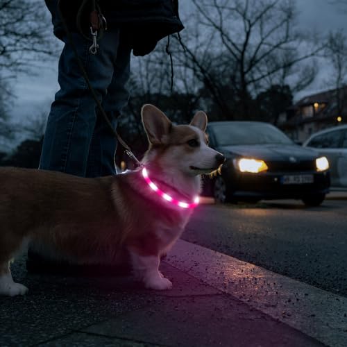 HIGO LED Dog Collar, Silicone Lightweight Light Up Dog Collars, USB Rechargeable LED Dog Necklace Light for Your Dogs Cats Glow in the Dark (Pink-Silicone) - color: Pink-Silicone