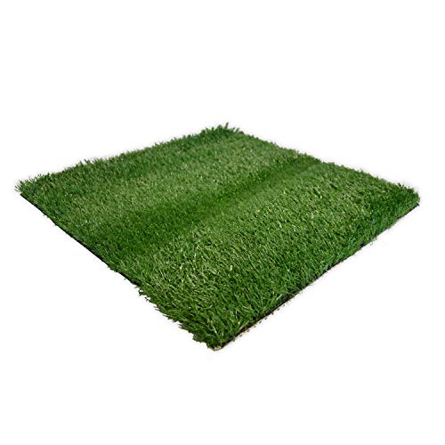 Four Paws Wee-Wee Premium Patch Indoor and Outdoor Pet Potty for Dogs l Dog Potty Training l Artificial Grass l Wee-Wee Patch - size: Small (12 Count), style: Patch