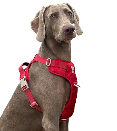 No Pull Dog Harness Front Clip Heavy Duty Reflective Easy Control Handle for Small Medium Large Dog (Red, L) - color: Red, size: L