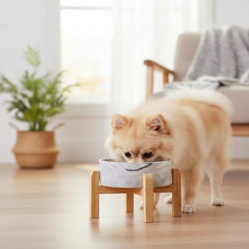 Elevated/Raised Ceramic Dog Bowl with Bamboo Stand,Marble Pattern 6 Inch 3.6 Cups Non Slip Heavy Weighted Single Pet Dish, for Small Medium Breed & Cats,Reduces Neck Strain Marble Grey - color: Marble Gray, size: 3.6 Cups - Medium