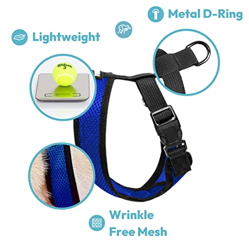 Gooby Choke Free Comfort X Soft Harness, Blue, Small - color: Blue, size: Small Chest (11.75-15.5")