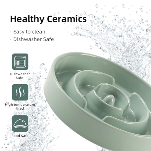 Havniva 8.2” Raised Slow Feeder Dog Bowls Set, 1.6 Cups Ceramic Slow Feeder Dog Bowl and 7.3” Dog Water Bowl with Elevated Wooden Stand Puzzle Dog Food Bowl for Medium Dogs Anti-Gulping & Anti-Choking - color: 2 x Light Green+Stand-A, size: 8.2inch