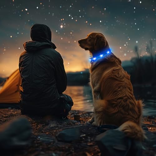 HIGO Light Up Dog Collar, Lightweight LED Dog Collar for Dogs Cats, USB Rechargeable LED Dog Necklace Light Makes Your Beloved Dogs Glow in the Dark (Blue-Silicone) - color: Blue-Silicone