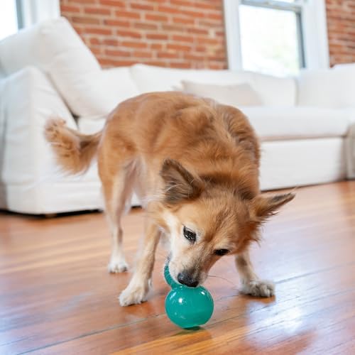 Outward Hound Double-Tuff Stuffable Dog Toy, Medium Blue, 3.9" x 2.5" – Treat Dispensing Chew Ball for Small to Medium Dogs, Interactive Puzzle Toy for Enrichment & Slow Feeding - color: Double-Tuff Stuffable (Blue)