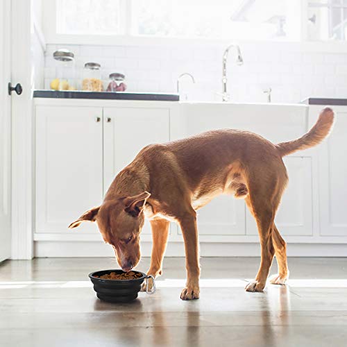 Kytely Large Collapsible Dog Bowls 2 Pack, 34oz Foldable Dog Travel Bowl, Portable Pet Water Food Bowl with Clasp, Pet Cat Feeding Cup Dish for Traveling, Walking, Hiking (Black+Black) - color: Black & Black