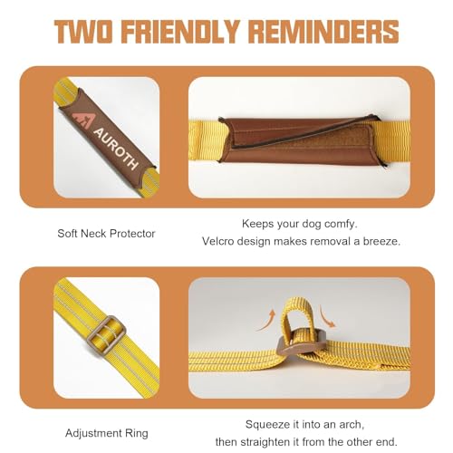 AUROTH Dog Harness and Leash Set, Soft Padded Service Vest Harness with 5.25FT Dog Leash, Easy On Pet Vest, Adjustable Reflective No Pull Dog Harnes Medium Sized, Easy Walking and Training - color: Turmeric, size: M(Neck:17.7"-24",Chest:23.6"-31.9")