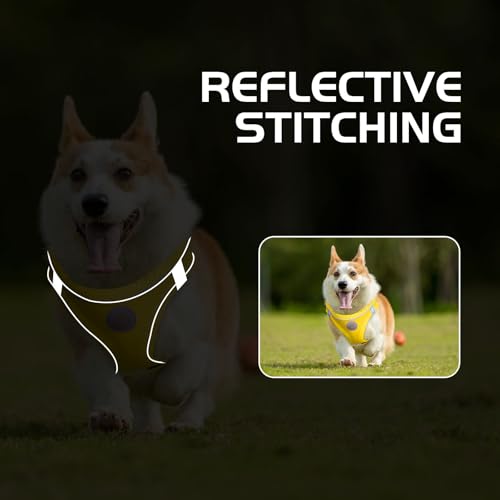 Soft Mesh Dog Harness and Leash Set, No Pull Puppy Harness and Leash Set, Reflective Step in Harness for Small Medium Dogs, Easy Walk Escape Proof Vest Harnesses (Yellow, M) - color: Yellow, size: M