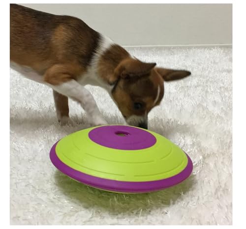 Interactive Dog and Cat Games Treat Hiding Challenge Mental Stimulation with Rewards (7.5 Inch Treat Maze Game) - size: 7.5 Inch Treat Maze Game