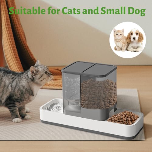 Yummy Sam Automatic Small Pet Feeder and Water Dispenser, 2 in 1 Gravity Cat Auto Pet Feeder and Waterer Set Feeder Dish for Small Medium Pets Dog Puppy Kitten (Grey) - color: Grey