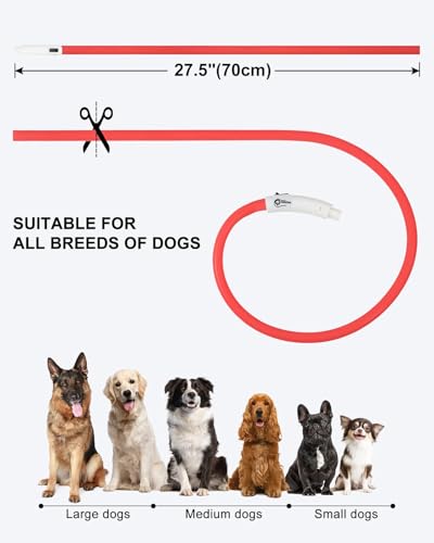 Joytale Light Up Dog Collar, Rechargeable Rainproof LED Collar for Night Walking Safety, Soft Silicone Glow in The Dark, Suitable for Small Medium Large Dogs, Red - color: Red