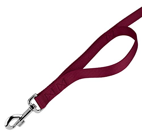 Country Brook Petz - Burgundy Martingale Heavyduty Nylon Dog Collar and Double Handle Leash (3/4 Inch, Small) - color: Burgundy, size: Small (Pack of 1)