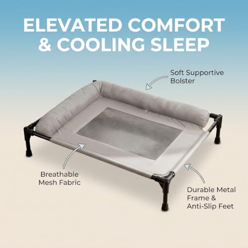 ALPHA TEC Elevated Dog Cot Bed with Plush Padded Bolster, High-Ventilation Mesh, Steel Frame, Non-Slip Feet, Gray (Large)