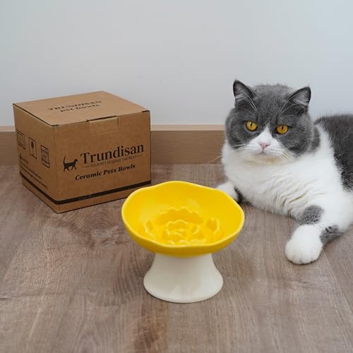 Ceramic Slow Feeder Bowl for Cats and Small Dogs, Elevated Tilted Pet Food Dish, Whisker Friendly Anti-Vomit Design, Heavy Stable Base, Dishwasher Safe, 5 Colors Options (Lemon Yellow) - color: Lemon Yellow