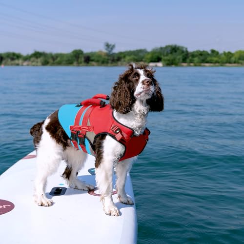 Kuoser Dog Life Jacket with Reflective Strips, High Visibility Dogs Swim Vest with Rescue Handle, Adjustable Dog Life Vest for Swimming, Boating, Pool & Beach, Doggy Lifejacket Small Medium Large Dogs - color: Red & Navy, size: Small (Chest Girth:16.9-21.