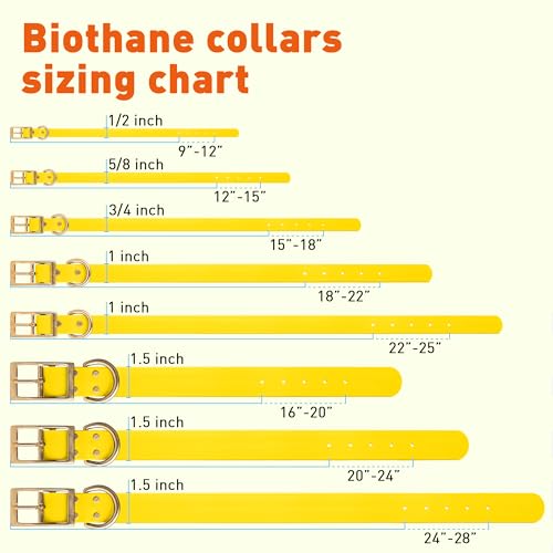 Viper Biothane Heavy Duty Waterproof Dog Collar Strong Coated Nylon Webbing w/Solid Brass Hardware Odor-Proof for Easy Care to Clean High Performance Fits Small Medium or Large Dogs, Lemon Yellow