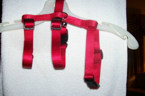 Harness for Small Dogs & Cats. Escape-Proof Design, Red, Size S, Classic Style