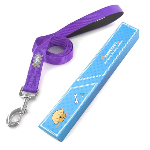 Basic Dog Leashes 6 FT Padded Handle Nylon Dogs Leashes for Small Dogs Purple - color: Purple, size: Small : 5/8" x 6 FT