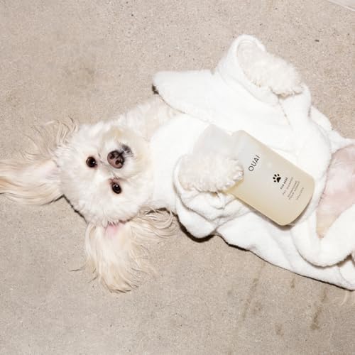 OUAI Fur Bébé Pet Shampoo - Cat & Dog Shampoo for Gentle Cleansing, Hydration & Shine - Vegan & Cruelty-Free Pet Supplies with Aloe Vera & Panthenol - Mercer Street Scent (16 Fl oz)