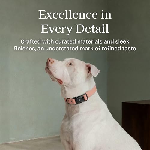 Fei & Eve VERO Dog Collar, Blush, Large | MagEase Magnetic Buckle, Waterproof PVC, Odor Resistant, Easy Clean, Heavy Duty - color: Blush, size: L