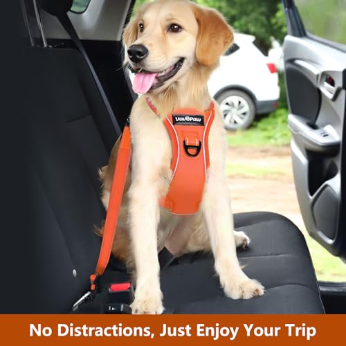 VavoPaw Dog Seat Belt Harness for Car, Dog Car Harness Adjustable Mesh Breathable & Dogs Seatbelt Safety Tether with Elastic Bungee for Small Medium Large Pets(Orange, M)