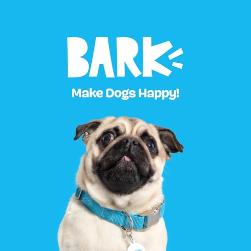 BarkBox Hide N' Squeak Dumpster Fire Dog Toy | 3-in-1 Plush Set with 2 Squeakers, Crinkle & Woven Strap | for Extra Small to Small Dogs - color: Dumpster Fire
