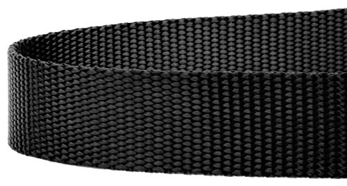 Country Brook Petz - Vibrant 17 Color Selection - Heavyduty Doublehandle Nylon Leash (6 Foot, 3/4 Inch Wide, Black) - color: Black