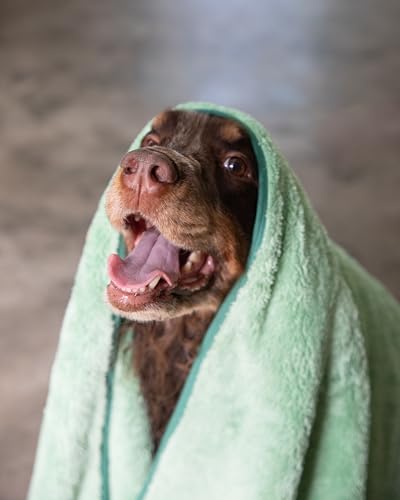 Two Tails Pet Company Pet N’ Dry Microfiber Bath Towel, Absorbent Dog Towels for Drying or Washing Large Dogs and Puppies, Soft and Lightweight, Fast Drying, Grooming Dog Supplies, Size Large - size: Large