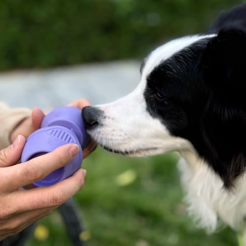 PetClan Chewise Bully Stick Holder, Ultimate Secure Heavy Duty, BPA-Free Safety Device for Dogs, Fits Various Bully Sticks and Dog Sizes - color: Purple, size: Standard