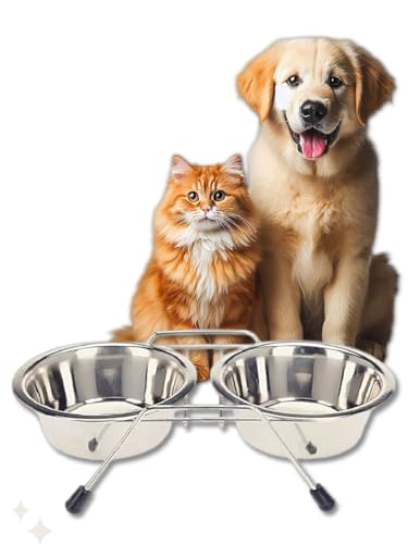 Pet Bowls for Dogs and Cats, with 2 Bowls, Iron Stand Base, Double Bowl Stand, Two Steel Removable (14oz) - size: 14oz